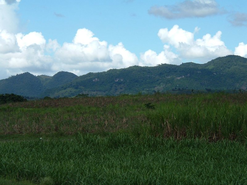 DSCF0126.JPG