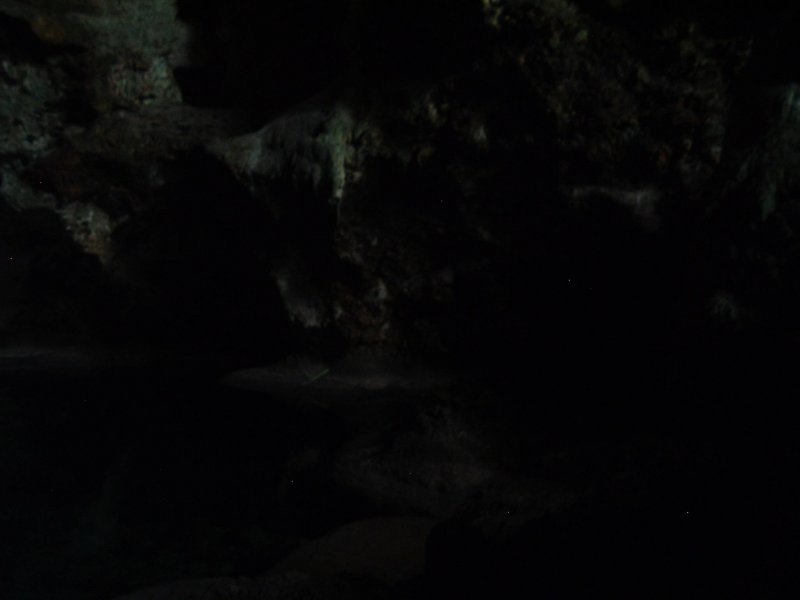 DSCF0143.JPG