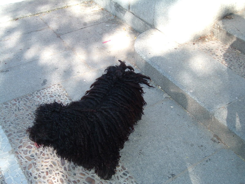dscf0297.jpg