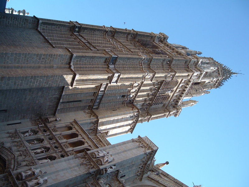 dscf0319.jpg