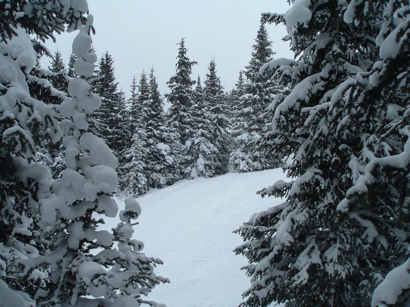 DSCF1105.JPG