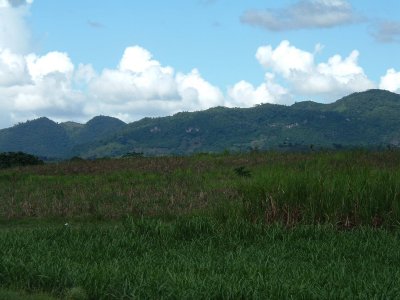 DSCF0126.JPG