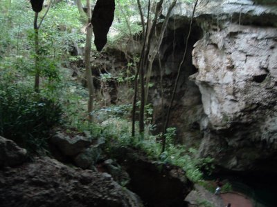 DSCF0129.JPG