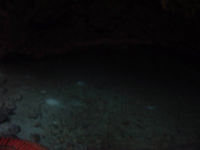 DSCF0146.JPG