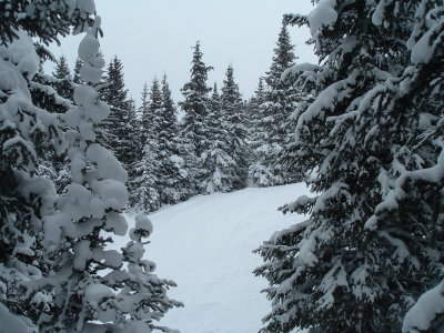 DSCF1105.JPG