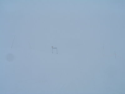 DSCF1106.JPG