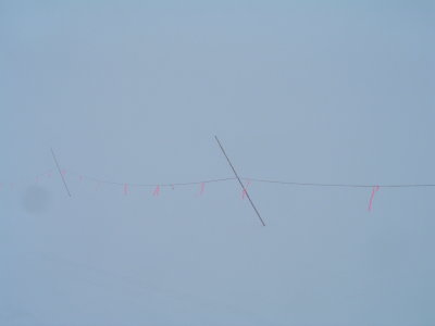 DSCF1107.JPG