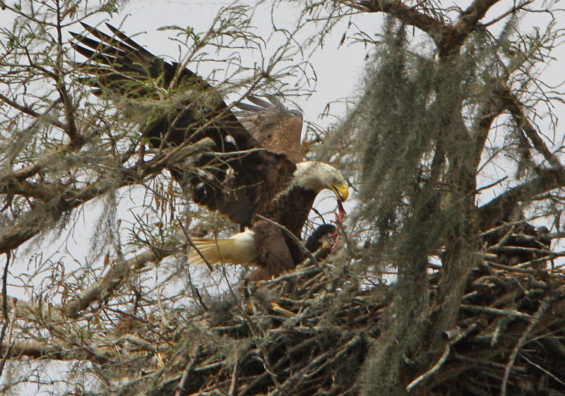 Bringing in Lunch