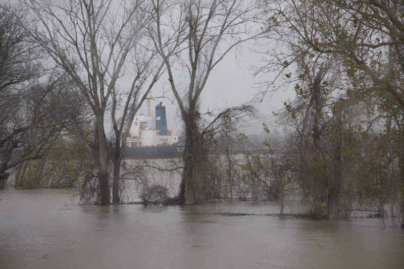 Flooding in southeast Louisiana
