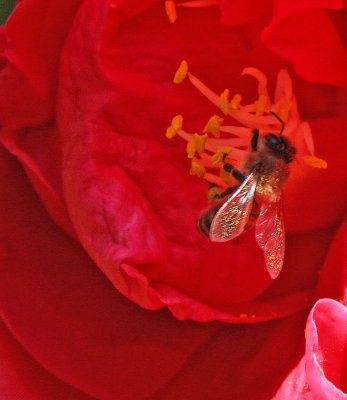 g9/06/497506/3/159299645.TiOSwy5D.jpg