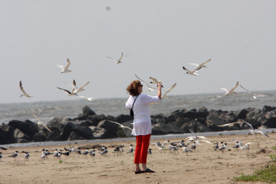 My daughter and the birds