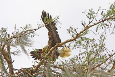 Bringing lunch