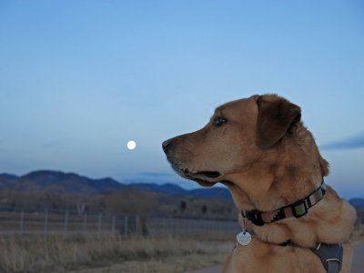 Full Wolf Moon?...no, Full Long Nights Moon