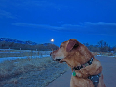 Mr. Wolf Warrior of the Dog Soldier Society, Contemplating the Full Wolf Moon