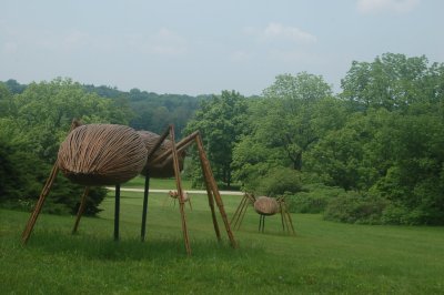 Arboretum Bugs