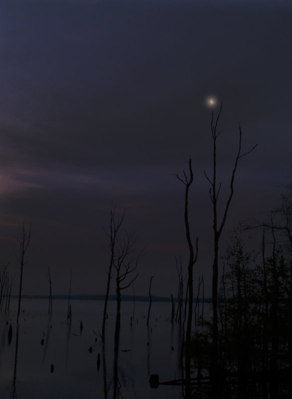little moon