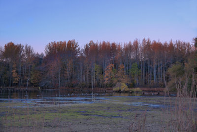 Reservoir