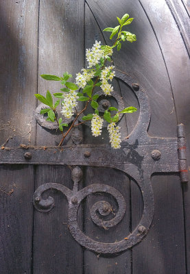 Carshalton Church Door Detail
