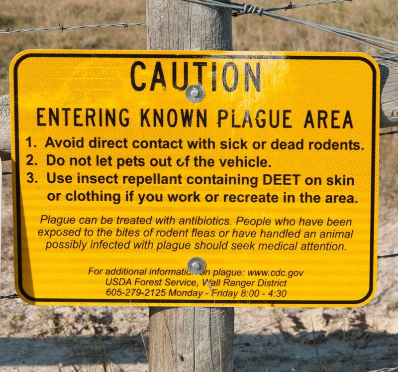Plague_D741996-1.jpg