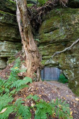 Paradise-rocks-door_D719886.jpg