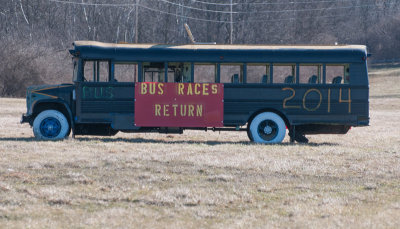 Bus-Races_3002516-1.jpg