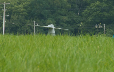 Airplane_D740007-1.jpg