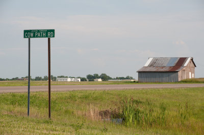 Cow-Path_D748530-1.jpg