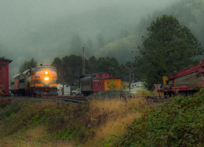 Rain-Train_D732437-1.jpg