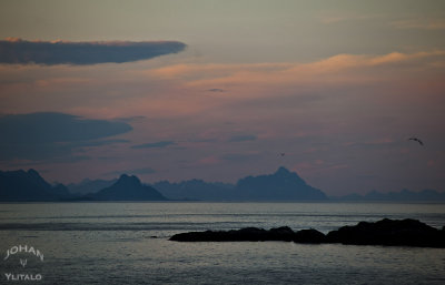 Lofoten.jpg