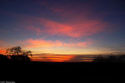 Sunset - 3690.jpg