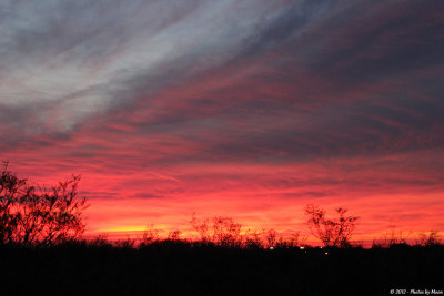 Uvalde Sunset - 0069.jpg