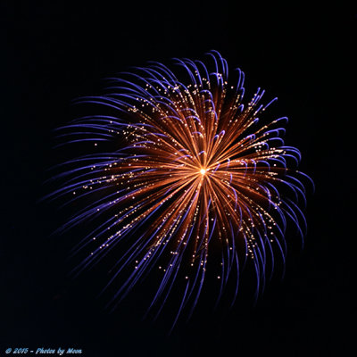Bastrop Fireworks 15 - 7075.jpg