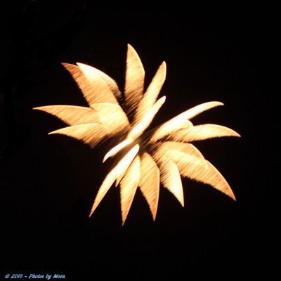 Bastrop Fireworks 15 - 7092.jpg