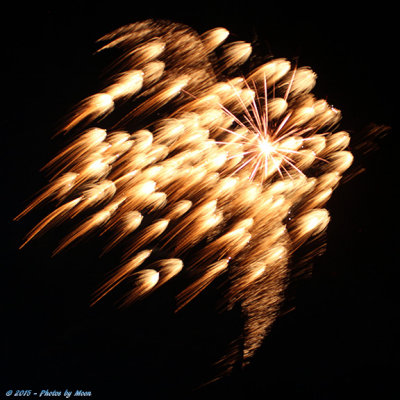 Bastrop Fireworks 15 - 7099.jpg