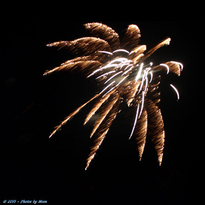 Bastrop Fireworks 15 - 7106.jpg