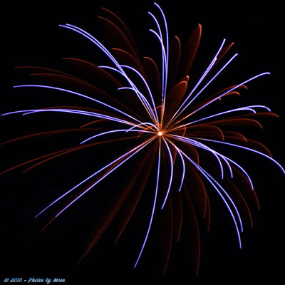 Bastrop Fireworks 15 - 7125.jpg