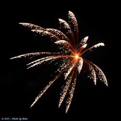 Bastrop Fireworks 15 - 7144.jpg
