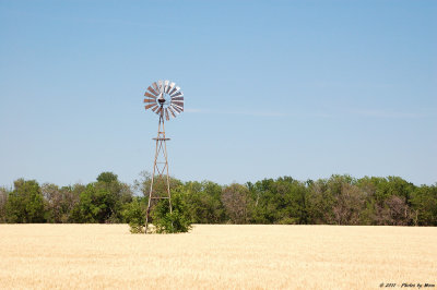 May 5th 2011 - Windmill - 2088.jpg