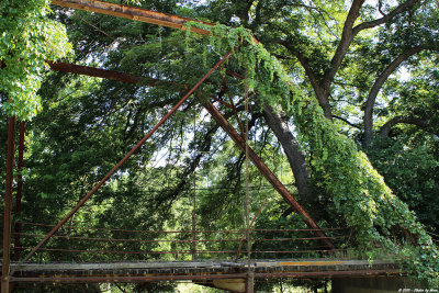 Bridge-Lampasas Riv-CR105 - 7375.jpg