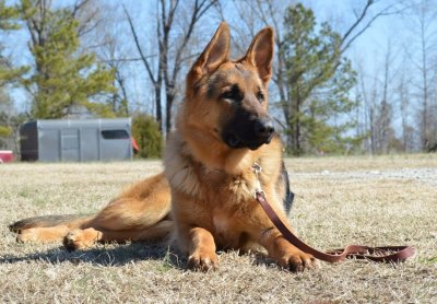 Moses Son of Oscar at 11 Months Old