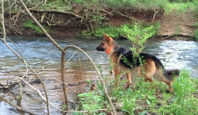  Moses River  11 Months