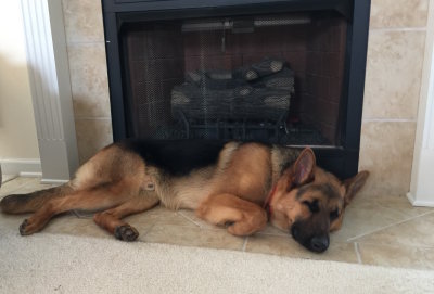 Sleep 11 Months