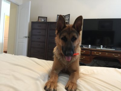 Wake up!  12 Months