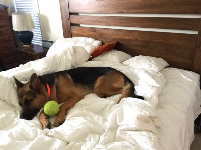 Must Keep Ball