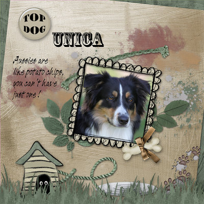 Unica - Callisto's String of Pearls