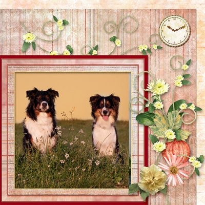 Ebbie an Unica in soft twilight
