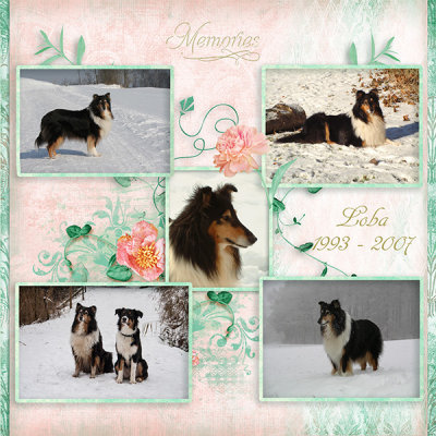 Memory to Loba