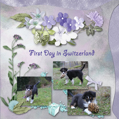 First day in Switzerland