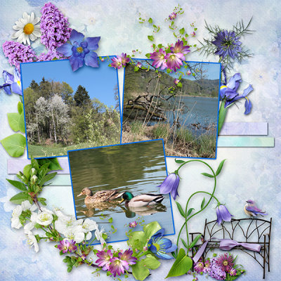 Spring