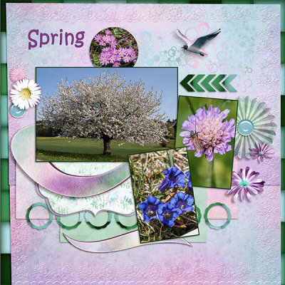 Spring